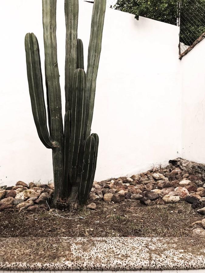Casa T Villa Guanajuato Dış mekan fotoğraf